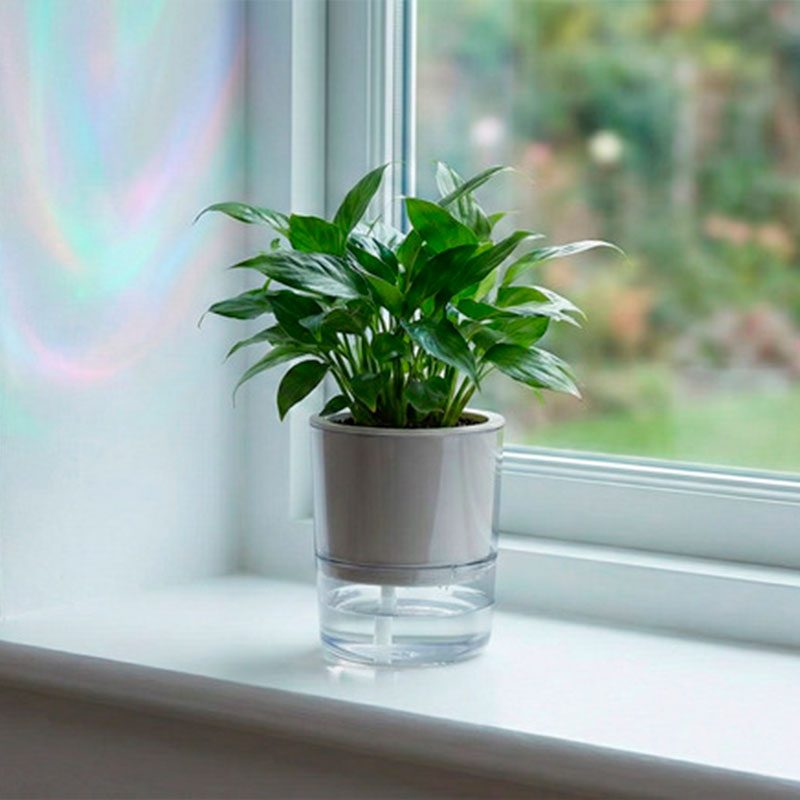 Vaso-Decorativo-Autoirrigavel